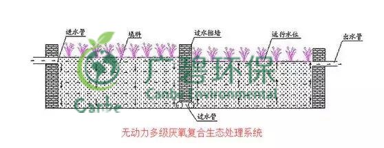 養(yǎng)豬場(chǎng)污水處理方法 養(yǎng)豬場(chǎng)廢水處理設(shè)備的應(yīng)用(圖5)