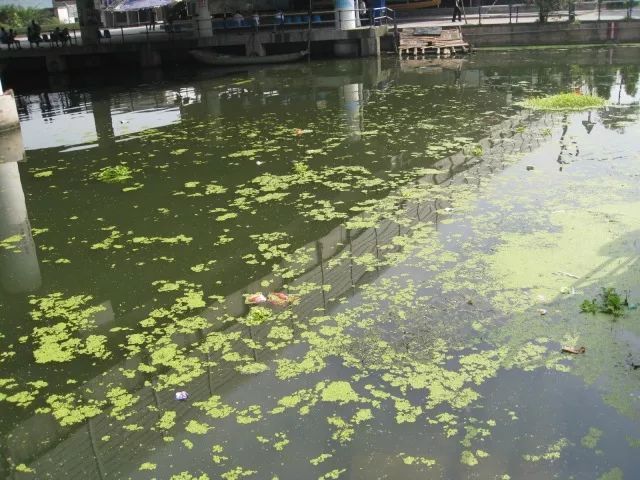 城市黑臭河道如何治理？河道黑臭水體治理思路